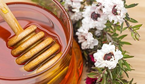 photo d'un pot de miel ,entouré de fleures blache